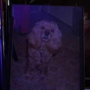 Meet your Posher, Linda